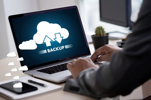 WhatsApp Image 2025-05-13 at 1.51.50 PM Copias de seguridad_backup