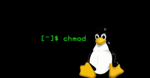 Permisos en Linux chmod